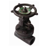 AAP Forged Steel Gate Valve NPT Class 800 - AIMS Industrial Supplies