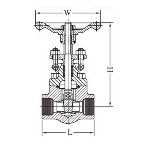AAP Forged Steel Gate Valve NPT Class 800 - AIMS Industrial Supplies