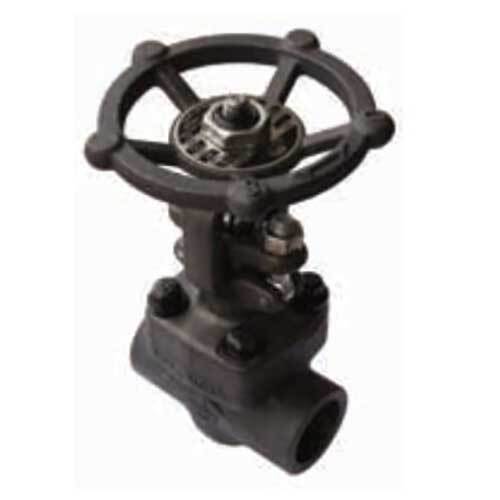 AAP Forged Steel Gate Valve Socketweld Class 800 - AIMS Industrial Supplies