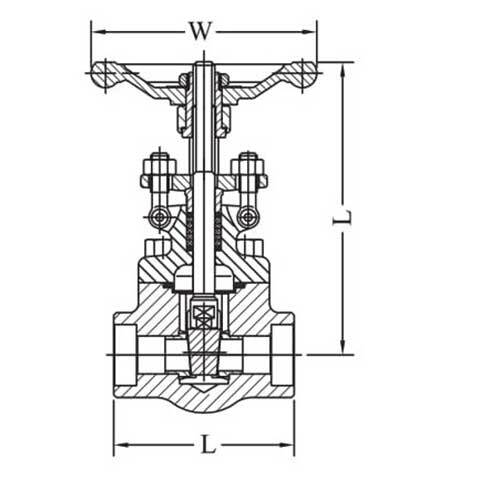 AAP Forged Steel Gate Valve Socketweld Class 800 - AIMS Industrial Supplies
