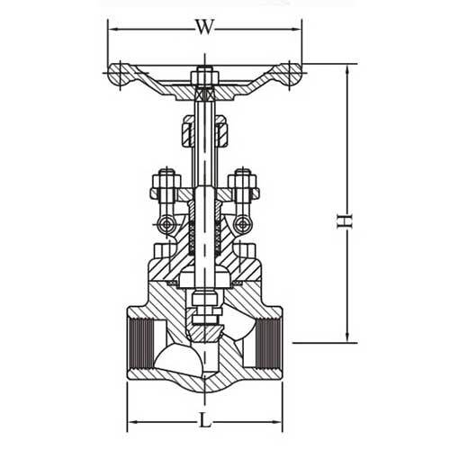 AAP Forged Steel Globe Valve NPT Class 800 - AIMS Industrial Supplies