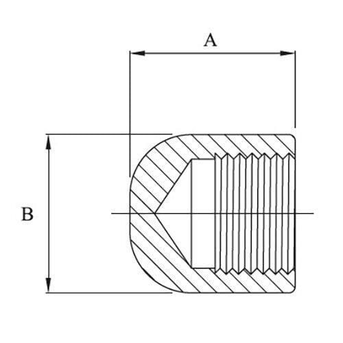 AAP Galvanised Steel Cap - AIMS Industrial Supplies