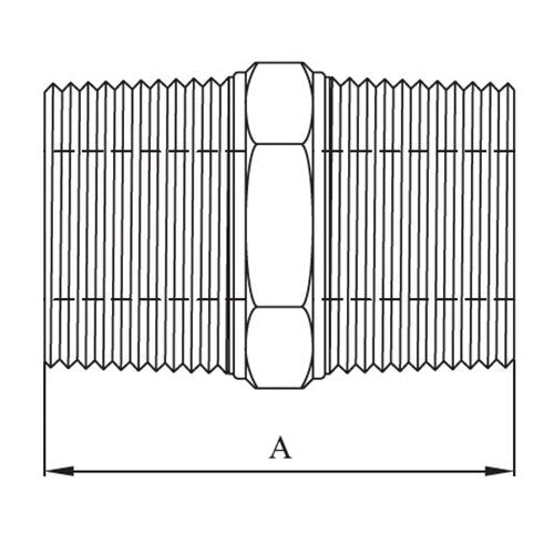 AAP Hex Nipple - BSP 316 Stainless Steel - AIMS Industrial Supplies