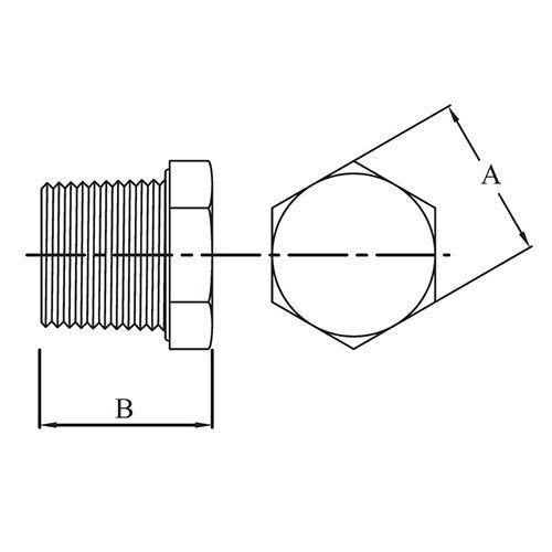 AAP Hexagon Plug Black Steel - AIMS Industrial Supplies