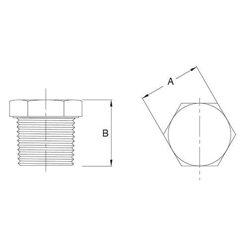 AAP Hexagon Plug - BSPT Stainless 316 - AIMS Industrial Supplies