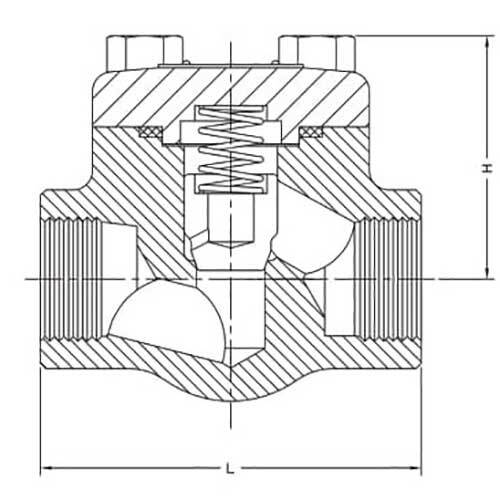 AAP NPT Forged Steel Piston Check Valve Class - 800 - AIMS Industrial Supplies