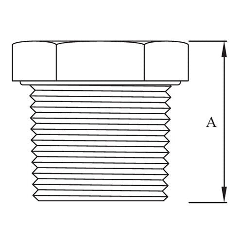 AAP Plug - BSP 316 Stainless Steel - AIMS Industrial Supplies