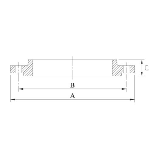 AAP RF Flanges 316/316L SS C1502