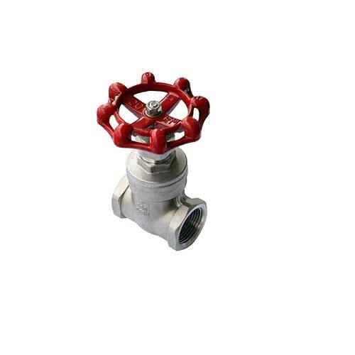 AAP Stainless Steel Gate Valve - AIMS Industrial Supplies