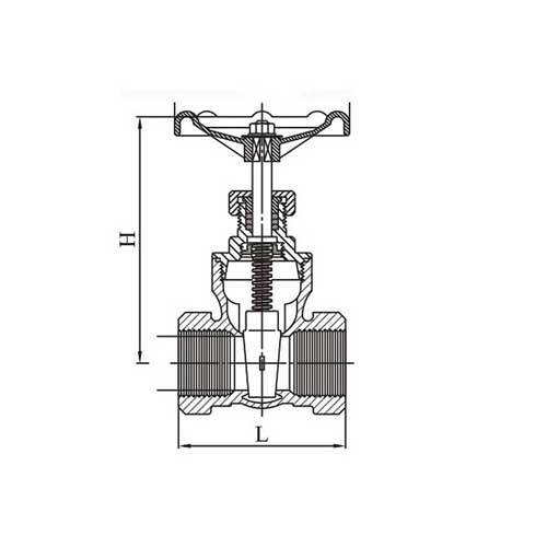 AAP Stainless Steel Gate Valve - AIMS Industrial Supplies