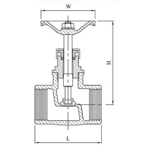 AAP Stainless Steel Globe Valve - AIMS Industrial Supplies