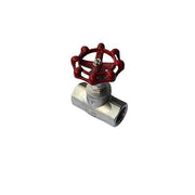 AAP Stainless Steel Globe Valve1