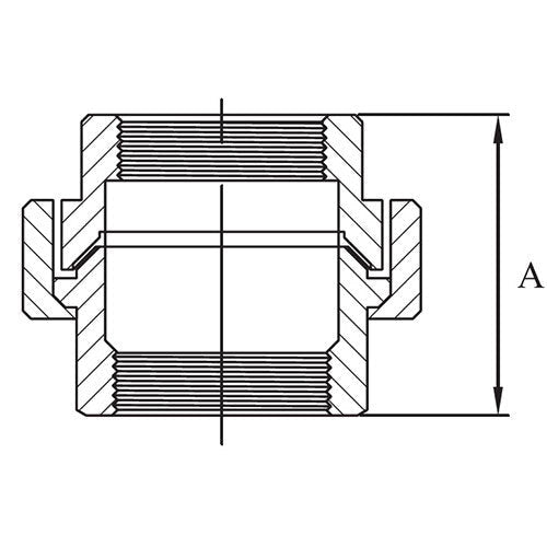 AAP Unions F/F - BSP 316 Stainless Steel - AIMS Industrial Supplies