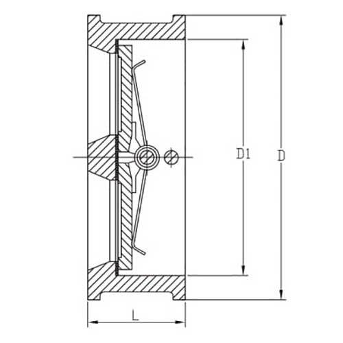 AAP Wafer Check Valve Dual Disc & Viton Seat2