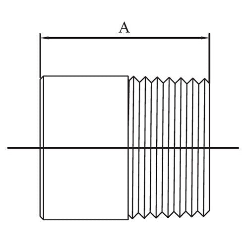 AAP Weld Nipple - BSP 316 Stainless Steel - AIMS Industrial Supplies