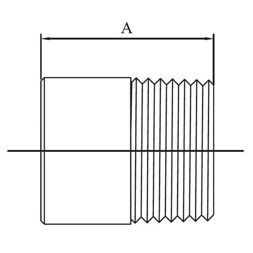 AAP Weld Nipple - BSP 316 Stainless Steel2