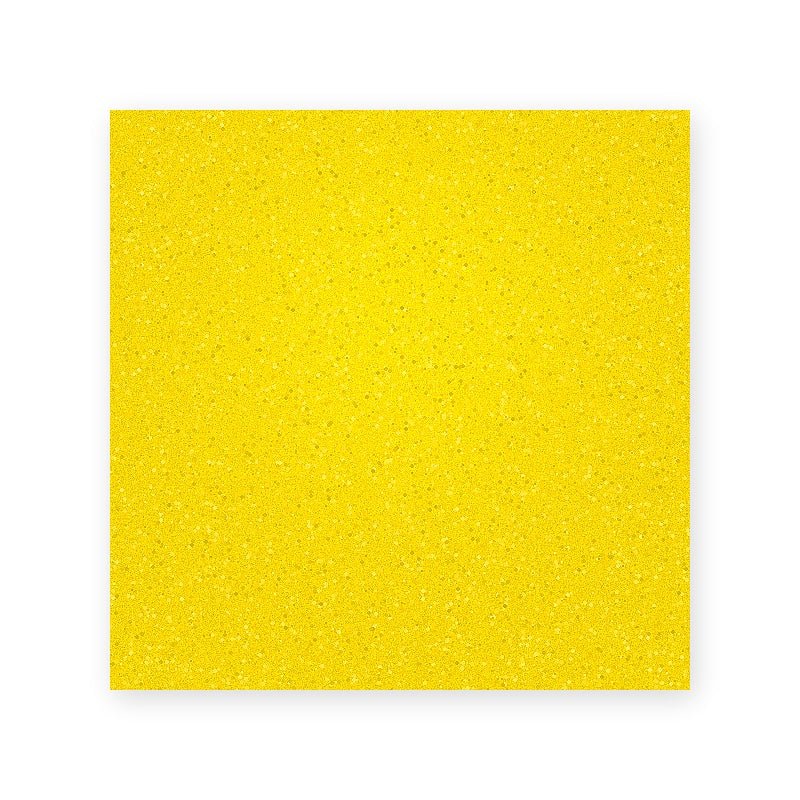 Advance Antislip Safeplate Higher Visibility - AIMS Industrial Supplies