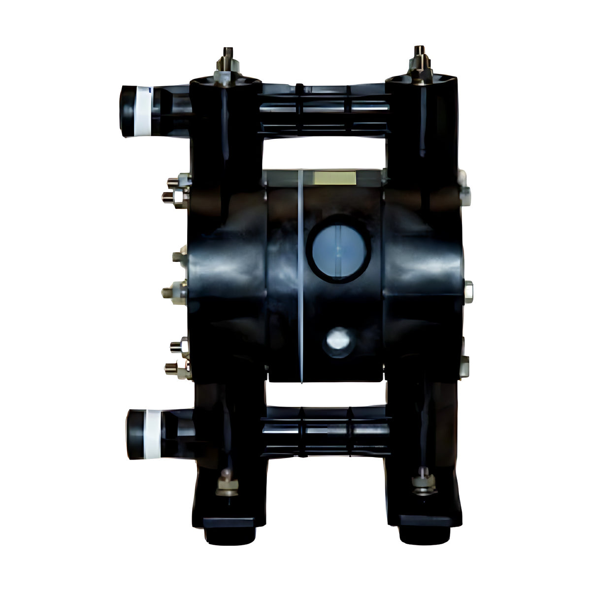 Alemlube 1/2" 45LPM Viton Diaphragm Pump ALE-15FVT
