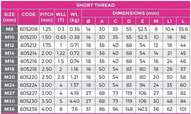 Austlift Large Swivel Eye Bolt3