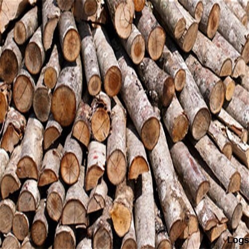 Austsaw Redgum Sleeper Blade 235mm (9 1/4") x 25mm Bore 6 Teeth3