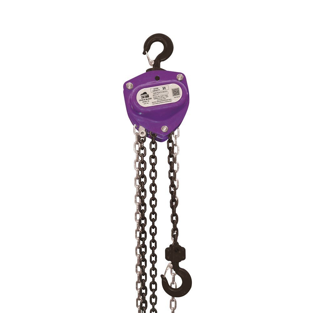 Beaver 3S Overload Industrial Chain Block - AIMS Industrial Supplies