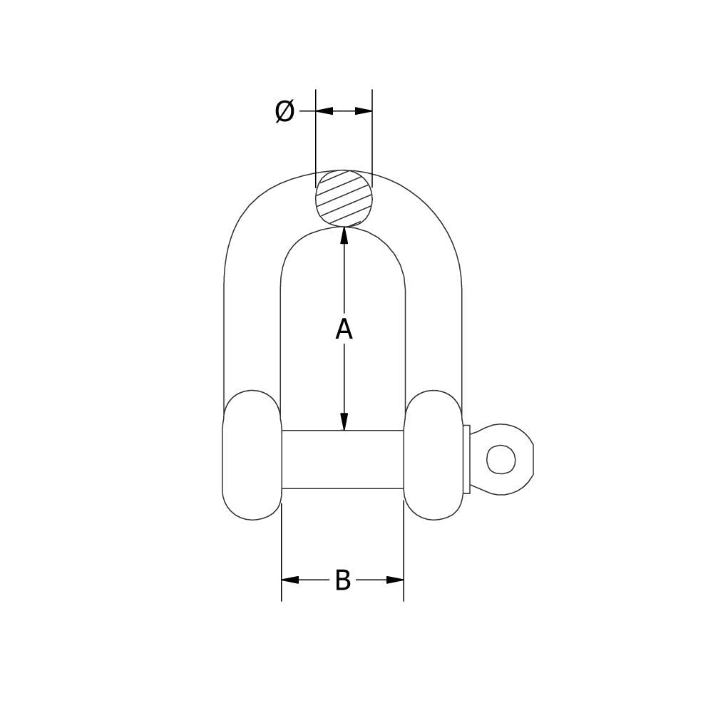 Beaver G316 Stainless Steel Dee Shackle - AIMS Industrial Supplies