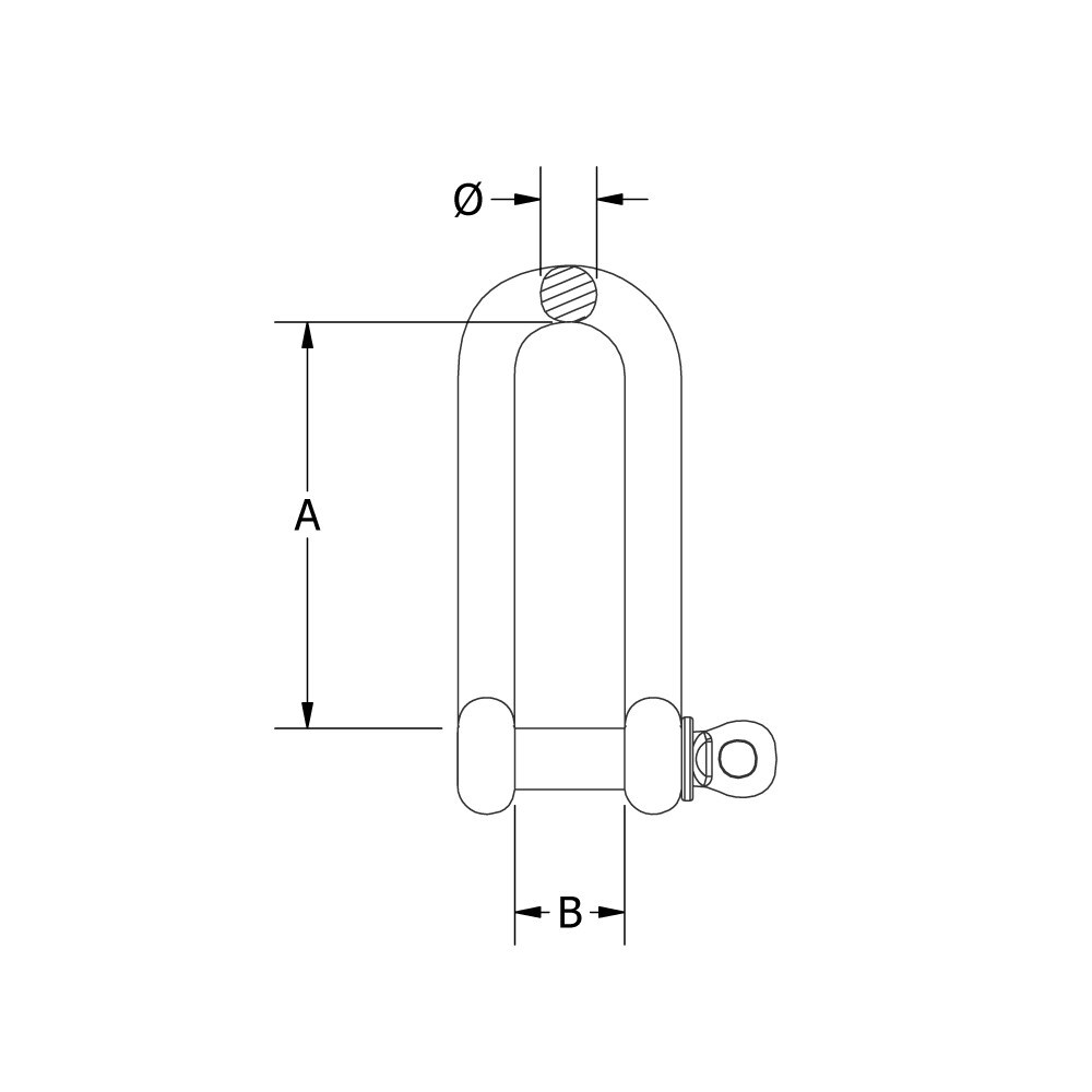 Beaver G316 Stainless Steel Long Dee Shackle - AIMS Industrial Supplies