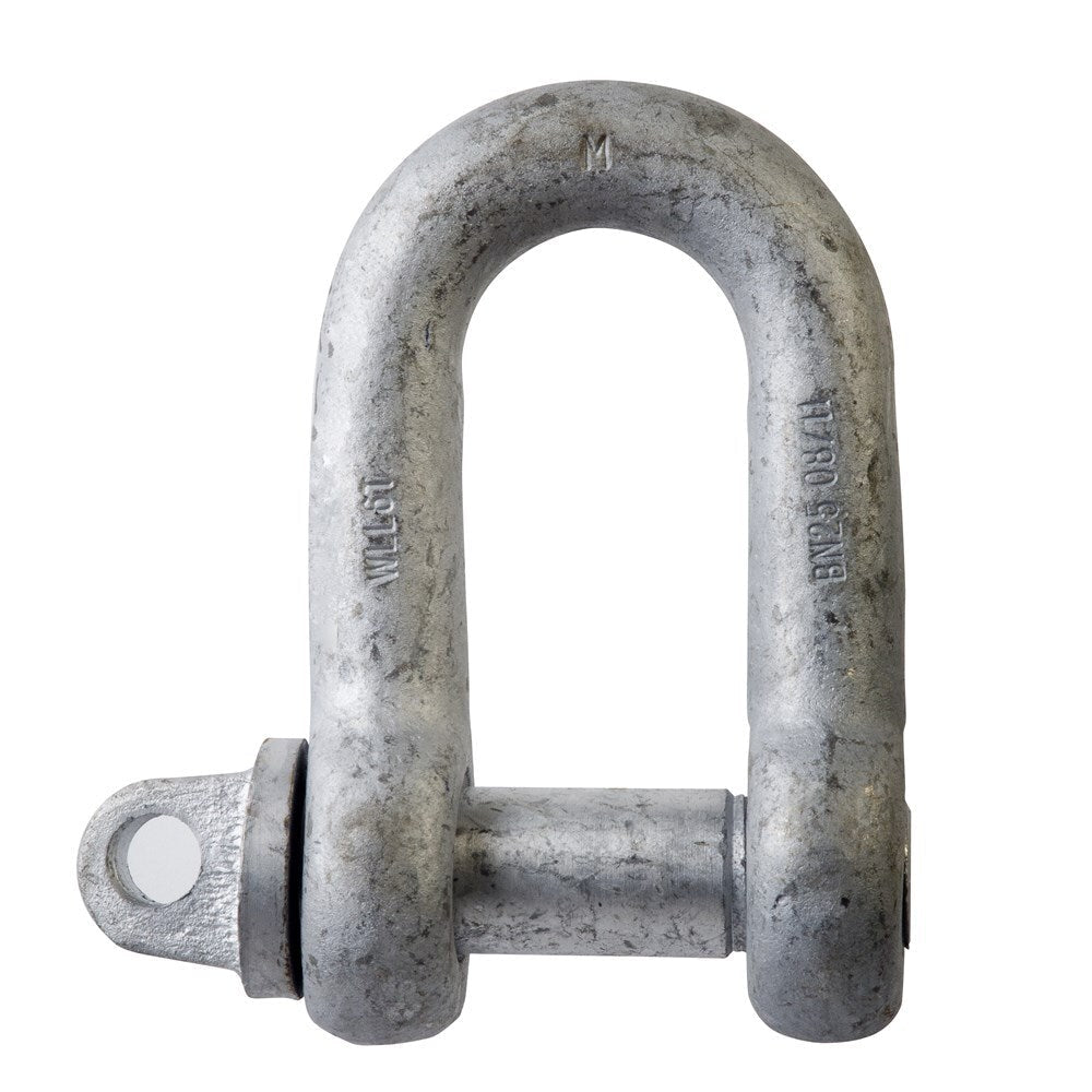 Beaver Grade M Screw Pin Dee Shackle - Galvanised - AIMS Industrial Supplies