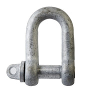 Beaver Grade M Screw Pin Dee Shackle - Galvanised - AIMS Industrial Supplies