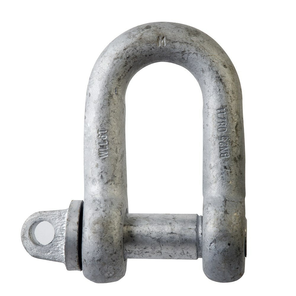 Beaver Grade M Screw Pin Dee Shackle - Galvanised - AIMS Industrial Supplies