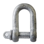Beaver Grade M Screw Pin Dee Shackle - Galvanised1