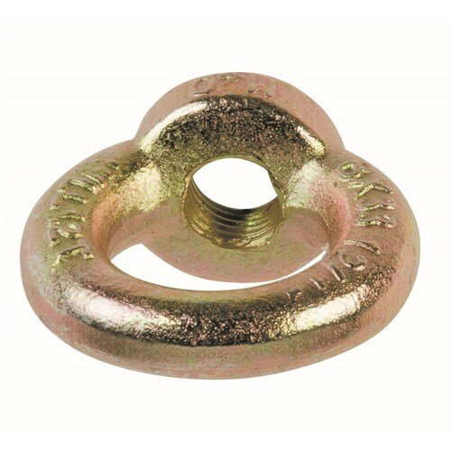 Beaver Metric Shouldered Eye Nut DIN 582 - AIMS Industrial Supplies
