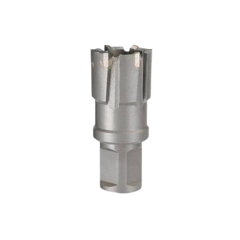 Bordo 25mm TCT Rail Cutter - AIMS Industrial Supplies