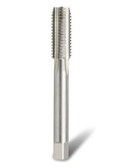 Bordo BSF Bottoming HSS Hand and Machine Tap - 3030 - AIMS Industrial Supplies