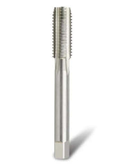 Bordo BSPF Bottoming HSS Hand and Machine Tap - 30461