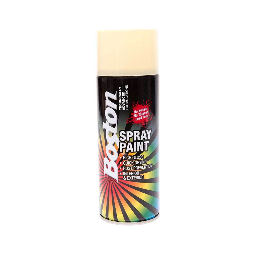 Boston Aerosol Paint Cream 250g