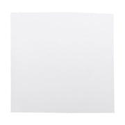 Brady B - 2551 Polyester Tag - AIMS Industrial Supplies