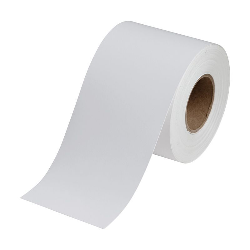 Brady B - 2551 Polyester Tag - AIMS Industrial Supplies