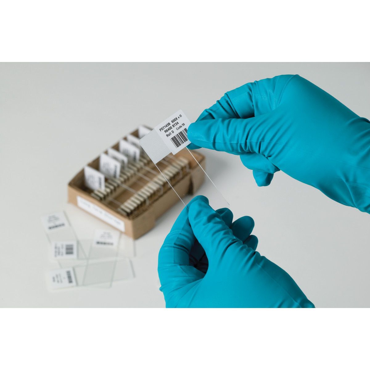 Brady StainerBondz Microscope Slide Polyester Label2