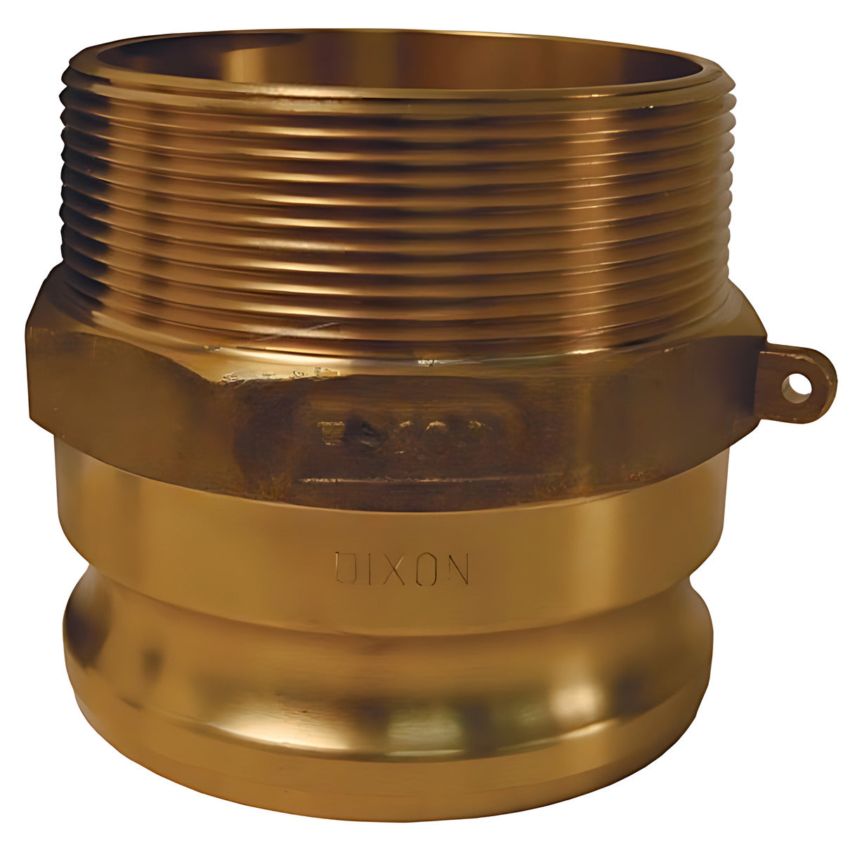Dixon Cam & Groove Type F Adaptor x Male BSP Bronze Sand Cast, 15 mm to 150 mm