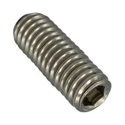 Champion BSW Stainless Grub Screw1