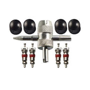 Champion BVALVE Airline Tyre Valve Care Pack Steel -Box of 3 - AIMS Industrial Supplies