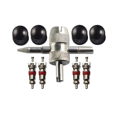 Champion BVALVE Airline Tyre Valve Care Pack Steel -Box of 3 - AIMS Industrial Supplies