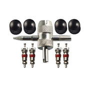 Champion BVALVE Airline Tyre Valve Care Pack Steel -Box of 31