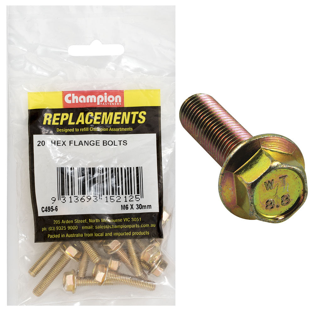 Champion C495-6 Hex Set Screw Flanged Head (10AF) M6 x 30mm - 20/Pack