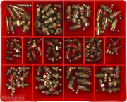 Champion CA108 Imperial Grease Nipple Assortment Kit, 113 Pieces1