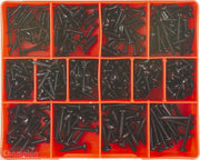 Champion CA1200 Pan Head Phillips Self Tapping Screw Assortment Kit1