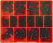 Champion CA1419 Countersunk Socket Head Cap Screw Assortment Kit, 124 Pcs - AIMS Industrial Supplies