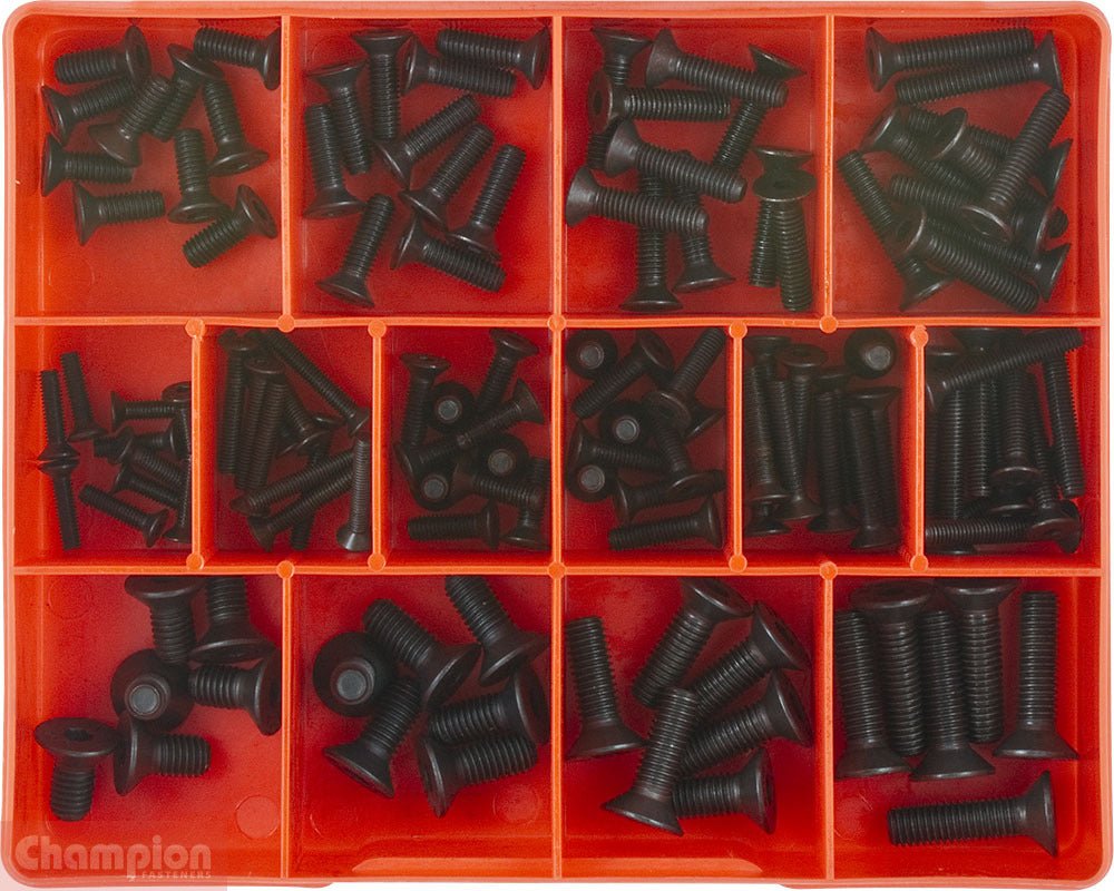 Champion CA1419 Countersunk Socket Head Cap Screw Assortment Kit, 124 Pcs - AIMS Industrial Supplies