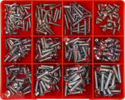 Champion CA1774 Countersunk Torx Machine Screw Assortment Kit, 325 Pieces - AIMS Industrial Supplies